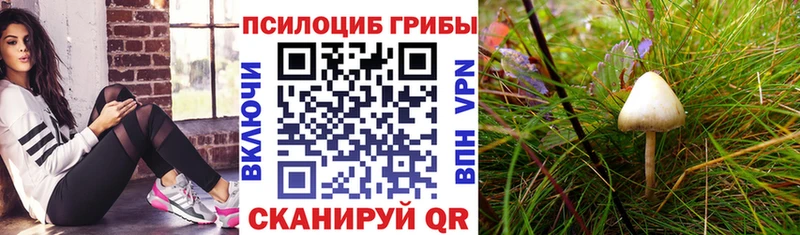 Галлюциногенные грибы мухоморы  купить   Железногорск-Илимский 